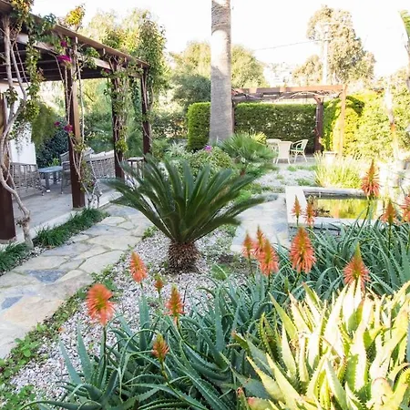 Villa Enjoy 4br Wprivate Garden In Trkbk Bodrum